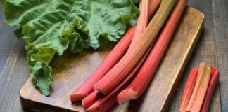 Benefici del rabarbaro | Salute