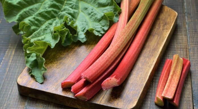 Benefici del rabarbaro | Salute
