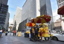 Cibi di strada da provare a New York