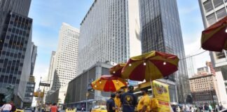 Cibi di strada da provare a New York