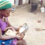 Perché l’alimentazione forzata è un NO tassativo