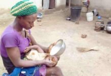 Perché l’alimentazione forzata è un NO tassativo