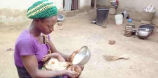 Perché l’alimentazione forzata è un NO tassativo