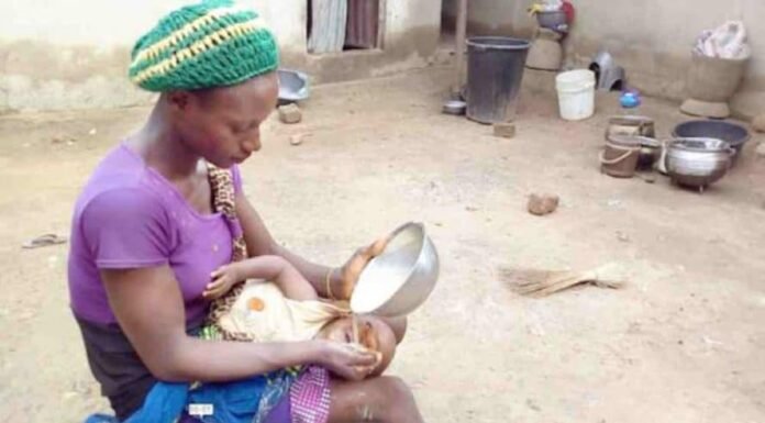 Perché l’alimentazione forzata è un NO tassativo