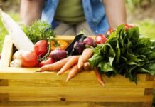 I migliori regali biologici per amici e familiari