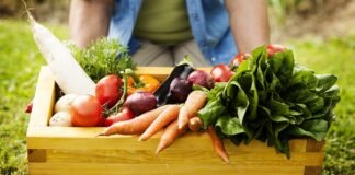 I migliori regali biologici per amici e familiari