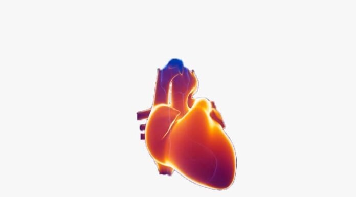 10 abitudini di vita che possono prevenire le malattie cardiache