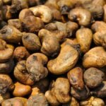 Benefici per la salute e valori nutrizionali degli anacardi