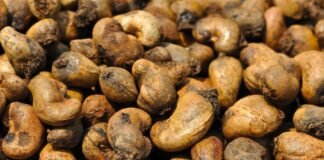 Benefici per la salute e valori nutrizionali degli anacardi